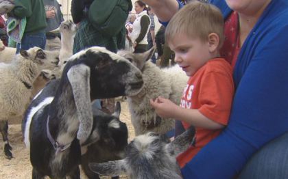 stock show 1 112th Stock Show Springs Into Action
