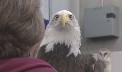 stock show 2 112th Stock Show Springs Into Action
