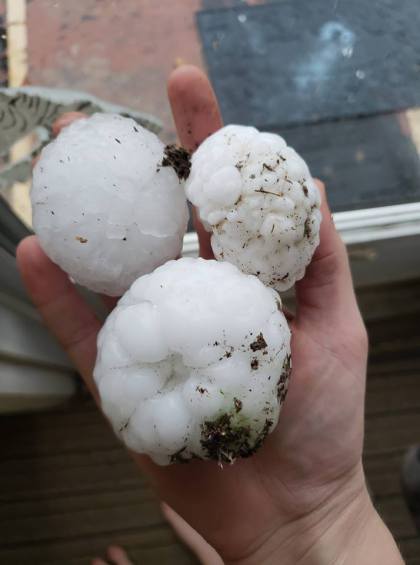 colo sprgs storms 2 credit becca servo south academy i25 Baseball Sized Hail Injures Zoo Visitors, Kills 3 Zoo Animals