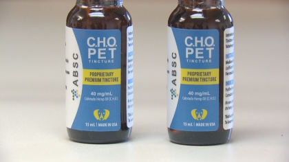 epilepsy dog 6pkg transfer frame 720 CSU Presents Research On CBD Oil Used For Dogs