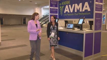 epilepsy dog 6pkg transfer frame 1032 CSU Presents Research On CBD Oil Used For Dogs