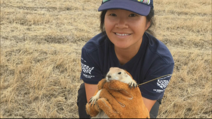 loveland prairie dogs 5pkg frame 1453 Developer Finds Compromise That Includes Homes, Prairie Dogs