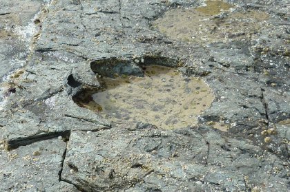 Dinosaur tracks found in Scotland shed light on mid-Jurassic period