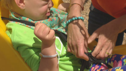 special needs playground 10pkg transfer frame 120 This Could Happen: Group Needs Help Building Inclusive Playgrounds