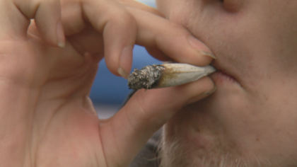 co marijuana use vo transfer frame 0 Legalized Marijuana On State Level Gains Some Support From POTUS