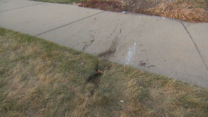 legacy band parade 10pkg transfer frame 1739 Marching Band Prepares For Ireland Parade In Memory Of Bandmate