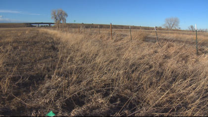 bald eagle lawsuit 10pkg transfer frame 660 Nonprofit Files Lawsuit Over Development Near Bald Eagles Nest