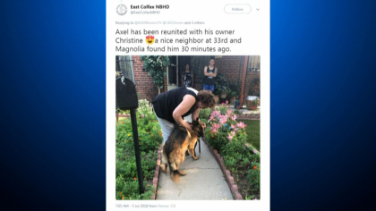 fireworks dogs folo 10pkg frame 690 So Grateful Hes Home: Owner Thanks Community For Finding Dog Spooked By Fireworks