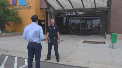 fireworks dogs folo 10pkg frame 1170 So Grateful Hes Home: Owner Thanks Community For Finding Dog Spooked By Fireworks