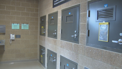 fireworks dogs folo 10pkg frame 1320 So Grateful Hes Home: Owner Thanks Community For Finding Dog Spooked By Fireworks