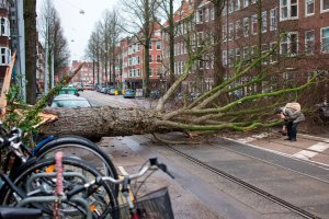 Powerful Storm Wreaks Havoc Across Western Europe