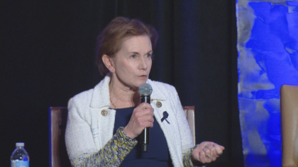 1st governors debate 6pkg frame 300 Republican, Democrat Gubernatorial Candidates Take On Big Issues