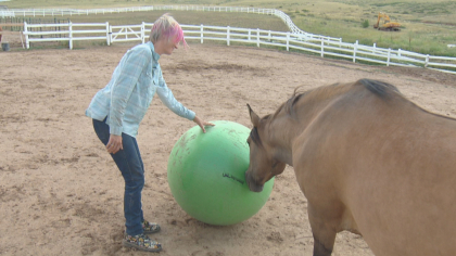 zumas rescue 4 Rescue Ranch Saves Horses, Horses Save People