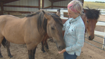zumas rescue 2 Rescue Ranch Saves Horses, Horses Save People
