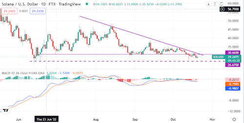 Solana is a 10x return investment sub $20, according to an analyst. Is this realistic?