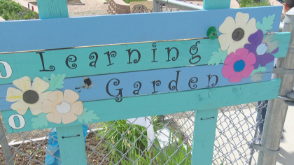 students cook 10pkg frame 1237 Students Learn To Cook, Grow Food Used In Recipes