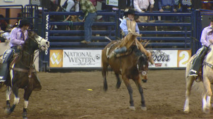 stock show 10pkg transfer frame 459 Super Bowl Of Stock Shows Ready To Open This Weekend