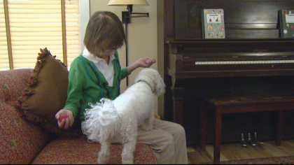 t4co stink bug 5pkg transfer frame 1774 Stink Bug Project: Sweet Pairing Of Sick Kids And Companion Dogs