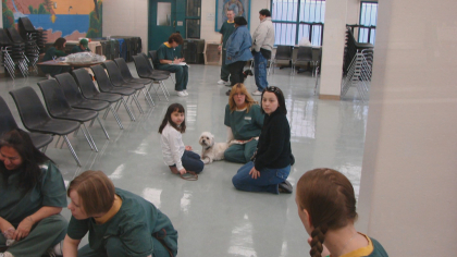 t4co stink bug 5pkg transfer frame 1821 Stink Bug Project: Sweet Pairing Of Sick Kids And Companion Dogs