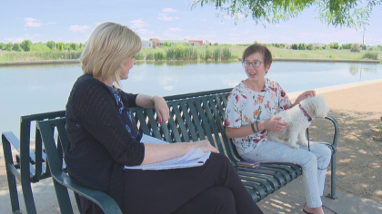 t4co stink bug 5pkg transfer frame 2389 Stink Bug Project: Sweet Pairing Of Sick Kids And Companion Dogs