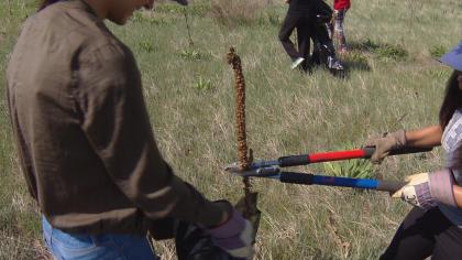 volunteers 3 You And Your Kids This Summer: Volunteer Outdoors!