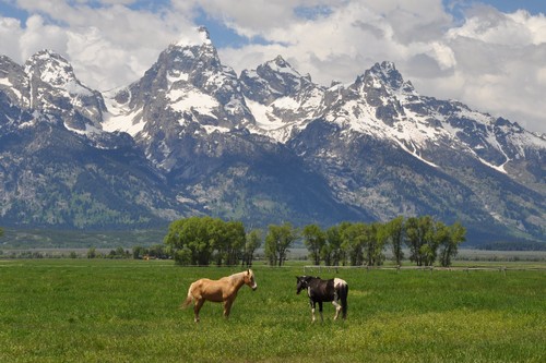 A Haven for Blockchain: The Case for Wyoming