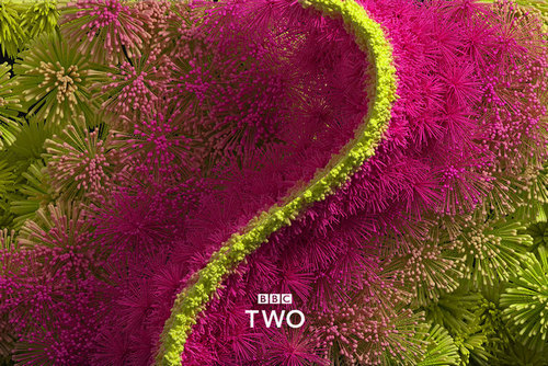 BBC Two rebrands with idents that give artistic freedom to animators
