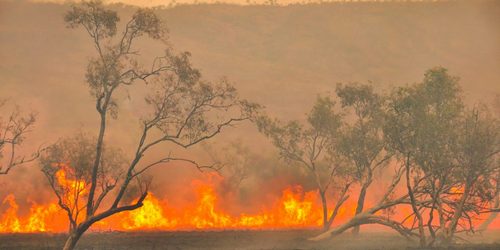 Binance Donates $1 Million in Crypto for Australian Bushfire Relief