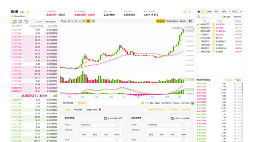 Binance Embraces Margin