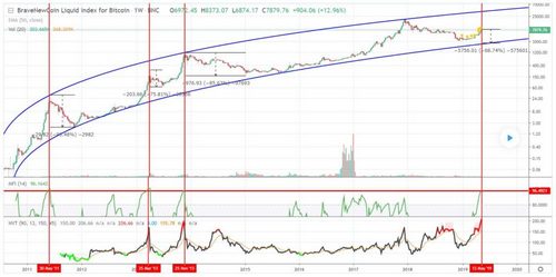 Bitcoin Bull Market Might Not Have Started