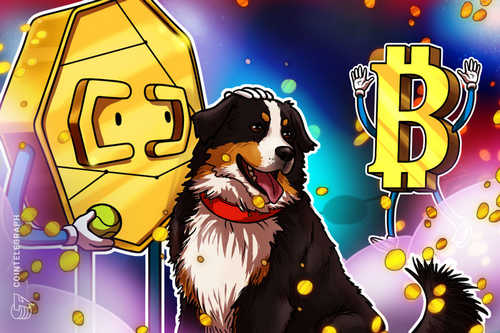 Bitcoin Rewards App Lolli Partners With Major US Pet Store Chain