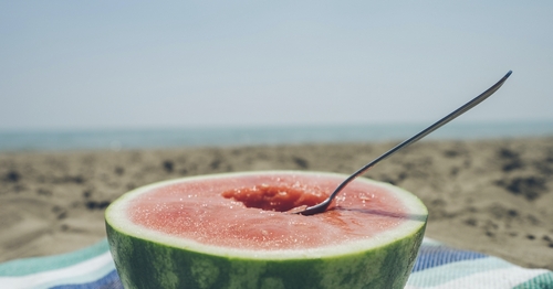 Bitcoin SV’s First Halving Crimps Profits for BSV Miners