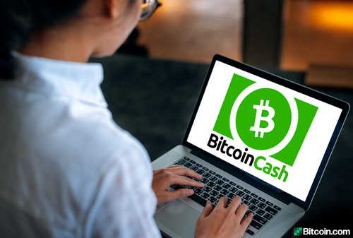 Bitcoin Verde’s New Project Aims to Promote Bitcoin Cash Node Diversity