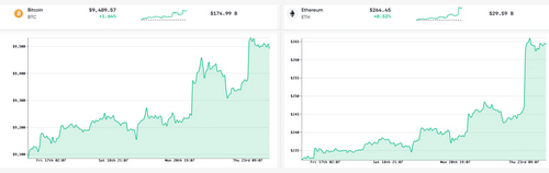 Bitcoin’s Dominance Ratio Drops to Lowest Level in 12 Months