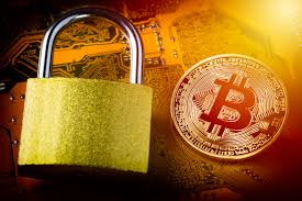 CNBC Anchor Jumps Aboard the Bitcoin Gravy Train