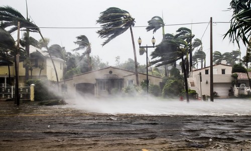 Craig Wright Aims to Challenge Court Decision That Cost Half His Bitcoins