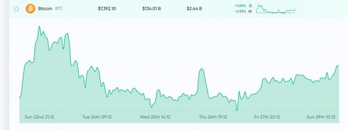 Market Update: Crypto Traders Search for Bullish and Bearish Trends 
