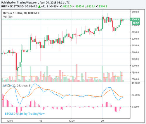 Cryptocurrency Market Surges to $365 Billion, Start of a Bull Rally?