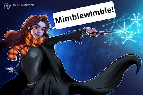 Developer Predicts Litecoin Mimblewimble Testnet Launch by September