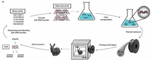 DNA-of-Things Technology Can Store Bitcoin Passwords in Everyday Objects