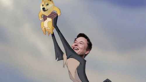 Elon Musk Dogecoin cryptocurrency