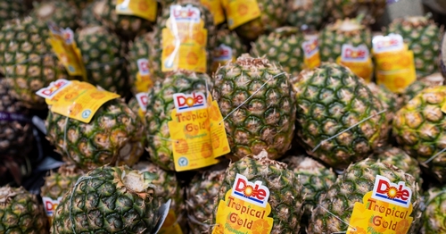 Dole Plans to Use Blockchain Food Tracing in All Divisions by 2025