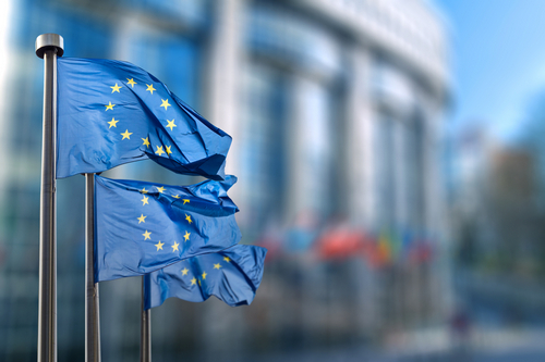 European Finance Regulators Call, for Bloc-Wide Crypto Rules