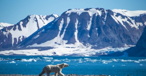 GitHub Is Burying Bitcoin Code Inside an Arctic Mountain to Ride Out the Next 1,000 Years