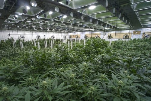 High Times Now Says It's Accepting Crypto Payments For Its IPO