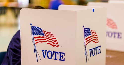 Internet Voting Is ‘Not Secure’ and Blockchain Won’t Help, Warns Scientific Body