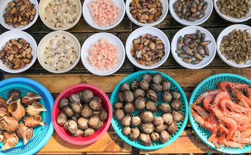 Korean Actor Invests in Blockchain Seafood Trade Startup