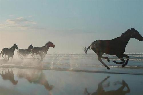 Lloyds reviews £80m media account as Group M retires Greenhouse