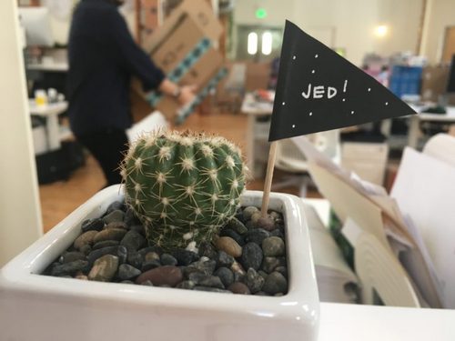 McCaleb’s Quiet Comeback: Breakups, Breakdowns and Stellar’s Big Break-Out