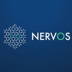 Nervos Network Blockchain